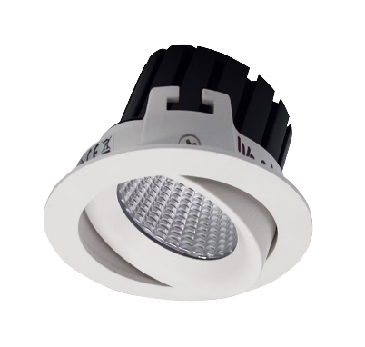 Tasman Downlight