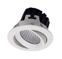 Tasman Downlight