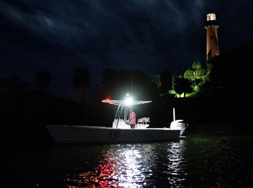 Capri3 Flush Mount LED Flood Light
