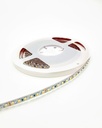 5M Reel (9.6W P/Meter) - 24V Indoor Strip Light (CCT 4000K)