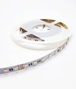 5M Reel (14.4W P/Meter)  RGB+CCT - 24V Indoor Strip Light