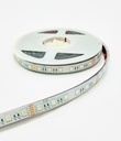 5M Reel (14.4W P/Meter) RGB + White - 24V Outdoor Strip Light