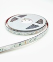 5M Color Reel (14.4W P/Meter) - 24V Outdoor Strip Light