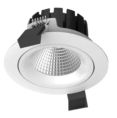 TASMAN 10W Tiltable Down Light