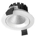 TASMAN 10W Tiltable Down Light