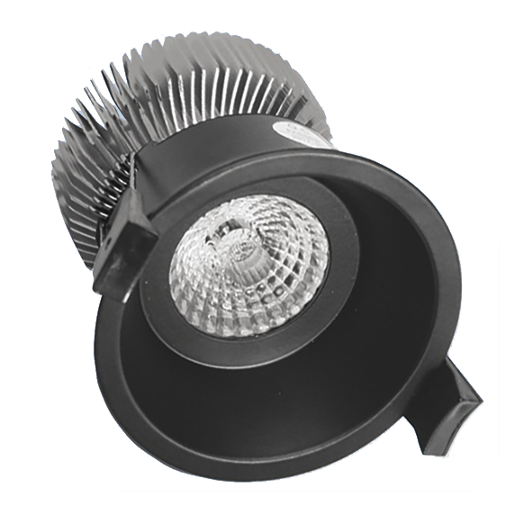 PRO Series 10W Down Light (Black) | Dualcom Technology